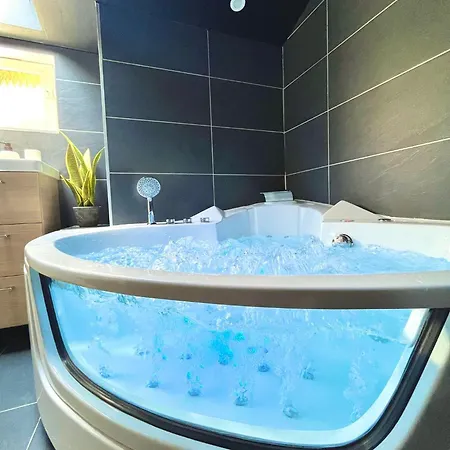 Le Cocon - Jacuzzi - Proche Centre-ville De Lyon *