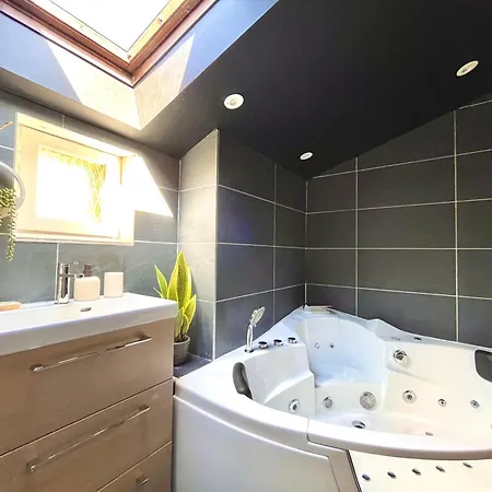 Apartment Work & Relax - Proche Cite Internationale - Lyon Caluire-et-Cuire