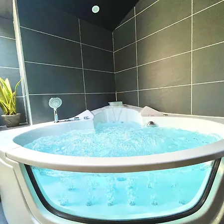 Διαμέρισμα Le Cocon - Jacuzzi - Proche Centre-ville De Lyon